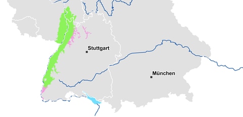 Landkarte zeigt Beginn der Apfelblüte im Oberrheintal vom 1. April 2020 (Foto: SWR)