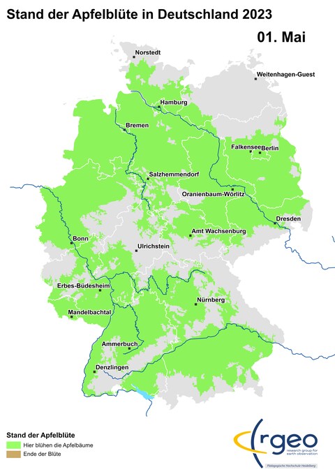 1. Mai: Die Apfelblüte hat nun die Donau in Niederbayern erreicht und ebenso die Mittlere Elbe. Sie klettert auch immer weiter in die Mittelgebirge, deren Ränder erscheinen auf der Karte immer ausgefranster. Außerdem wächst Apfelblütenland weiter nach Norden und Nordosten. (Foto: SWR)