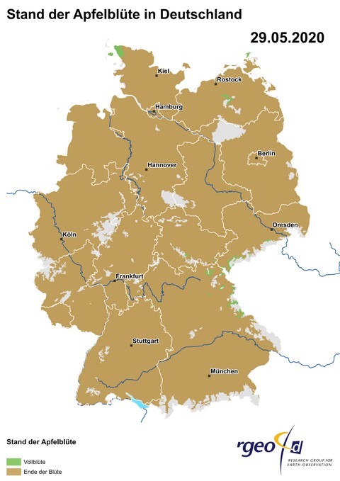 Landkarte der Ausbreitung der Apfelblüte in Deutschland am 29. Mai 2020 (Foto: SWR)