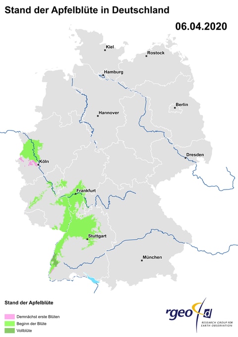 Landkarte der Ausbreitung der Apfelblüte am 6. April 2020 (Foto: SWR)