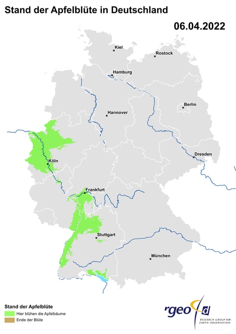 Aus aus den eingegangenen Beobachtungen berechnete Ausbreitung der Apfelblüte in Deutschland am 6. April 2022. (Foto: SWR)