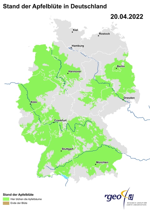 Landkarte der Ausbreitung der Apfelblüte in Deutschland am 20. April 2022 (Foto: SWR)