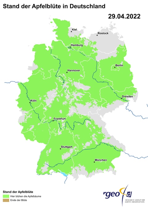 Landkarte der Ausbreitung der Apfelblüte in Deutschland am 29. April 2022 (Foto: SWR)