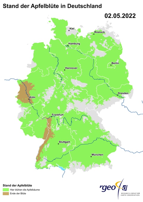 Die Landkarte der berechneten Ausbreitung der Apfelblüte in Deutschland am 2. Mai 2022. (Foto: SWR)