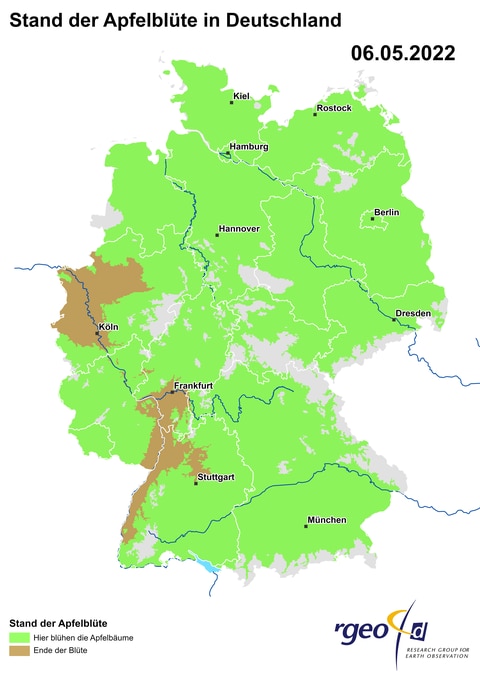 Landkarte der Ausbreitung der Apfelblüte in Deutschland am 6. Mai 2022. (Foto: SWR)