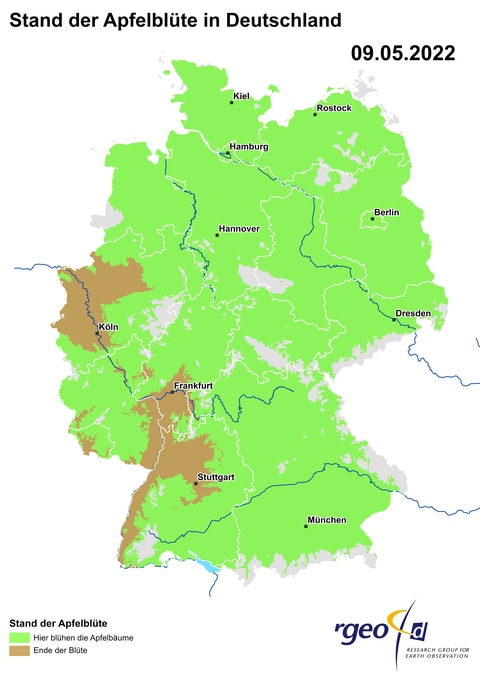Landkarte der Ausbreitung der Apfelblüte in Deutschland am 9. Mai 2022 (Foto: SWR)