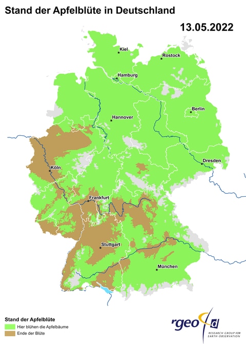 Landkarte der Ausbreitung der Apfelblüte in Deutschland am 13. Mai 2022 (Foto: SWR)