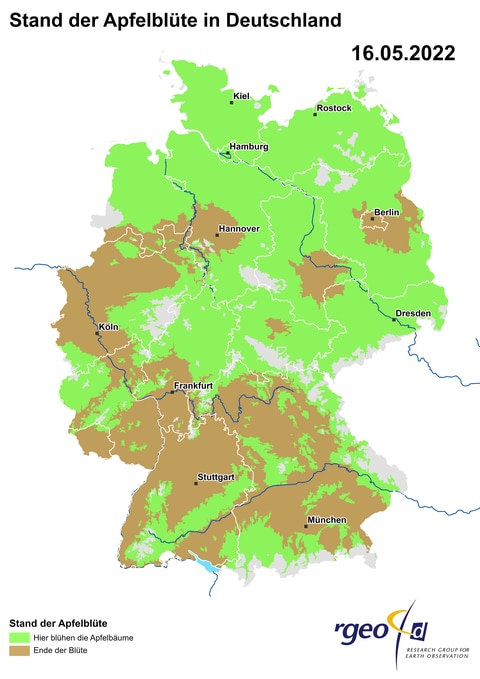 Landkarte der berechneten Ausbreitung der Apfelblüte in Deutschland am 16. Mai 2022 (Foto: SWR)