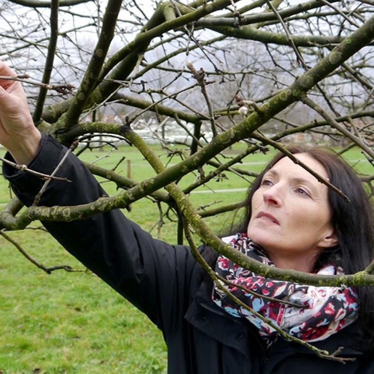 Eine Frau schaut sich die Knospen eines Baumes an
