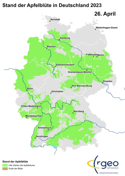 26. April: Jetzt ist Apfelblütenland tatsächlich erstmals eine geschlossene Fläche, auf der man vom Bodensee am Rhein entlang oder über eine Alpen-Main-Route bis zur Nordsee und von dort weiter ostwärts bis zur Oder wandern kann. Ständig von blühenden Apfelbäumen umgeben. (Foto: SWR)