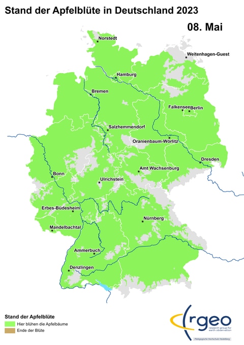 8. Mai: Im Schwarzwald, im äußersten Südwesten Deutschlands, sind nur noch die hohen Lagen frei von Apfelblüten. In Vorpommern, im äußersten Nordosten, dürfte die Apfelblüte demnächst einsetzen. Apfelblütenland hat damit wahrscheinlich seine größte Ausdehnung erreicht und wird nun von Südwesten her wieder schrumpfen (Foto: SWR)