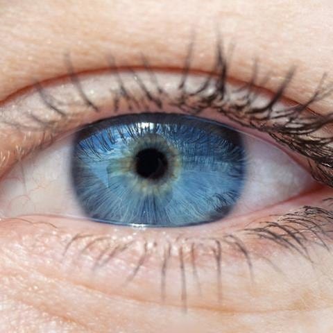 Auge mit blauer Iris (Foto: Colourbox, Foto: Colourbox.de -)