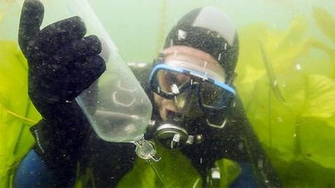 Taucher füllt eine Glaskolbe unter Wasser (Foto: SWR, SWR -)