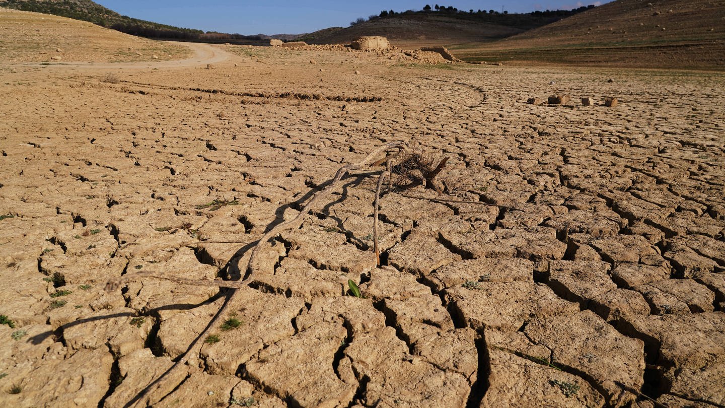 Dürre (Foto: IMAGO, Imago)