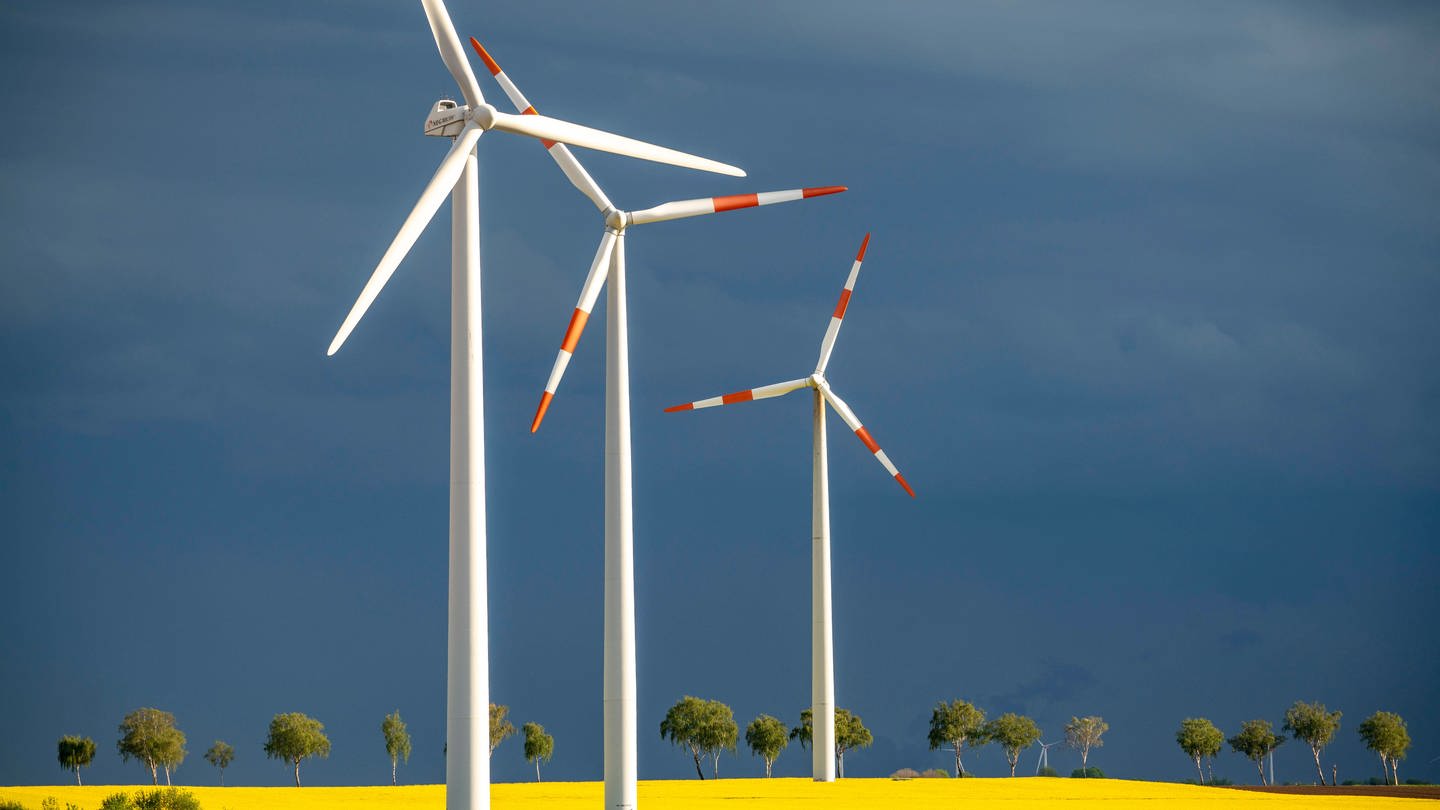 Windkrafträder (Foto: IMAGO, Imago)
