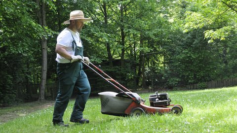 Mann im Garten mit einem Rasenmäher (Foto: picture-alliance / Reportdienste, picture alliance / blickwinkel)