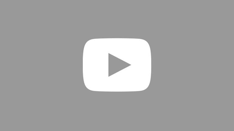 swr icon youtube grau (Foto: SWR)