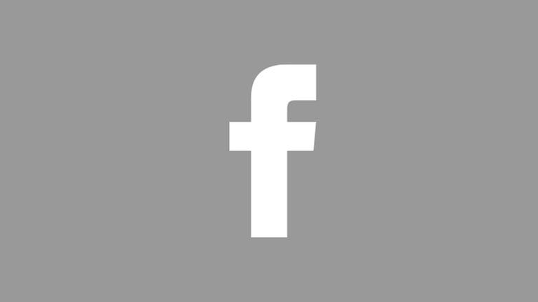 swr icon facebook grau (Foto: SWR)