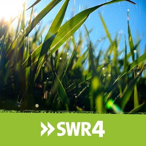 Podcast SWR4 'Morgengruß' (Foto: Colourbox, Fotograf:pavel bolotov)