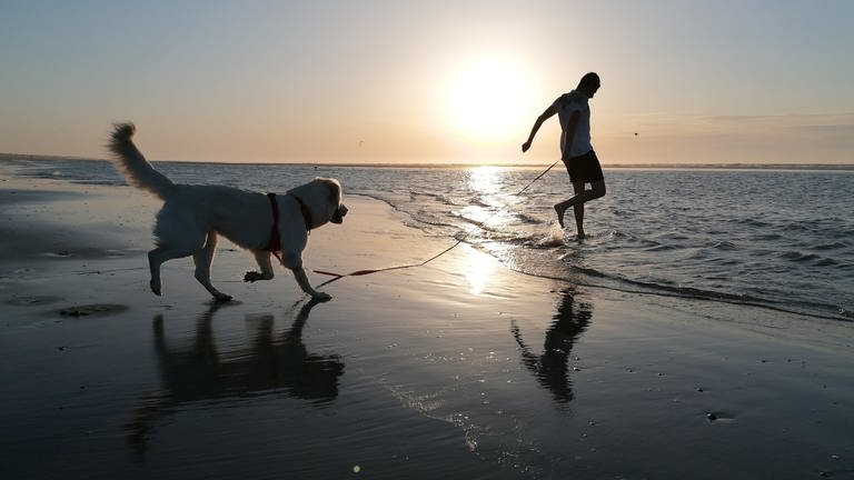 ein Mann springt mit einem Hund am Strand bei Sonnenuntergang (Foto: Privat / Selina Schulze)