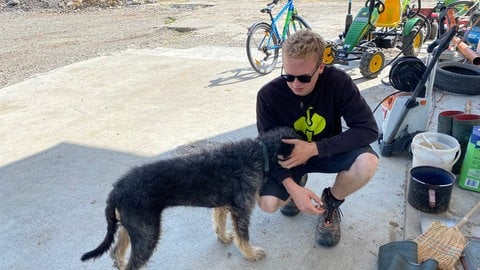 Sohn David Benzing streichelt Hofhund Susi auf dem abgebrannten Eschbachhof. (Foto: SWR) Sohn David Benzing streichelt Hofhund Susi auf dem abgebrannten Eschbachhof.