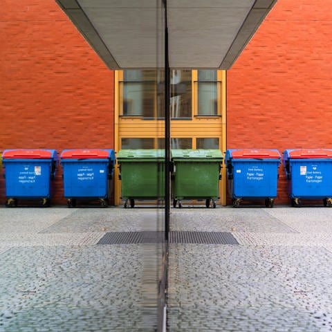 Mehrere unterschiedliche Mülltonnen stehen in einer Seitengasse nebeneinander und spiegeln sich in einer Scheibe.