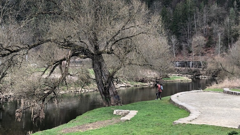 Müllsammler Andreas sammelt auf einer Wiese an der wunderschönen blauen Donau. (Foto: SWR) Müllsammler Andreas sammelt auf einer Wiese an der wunderschönen blauen Donau.