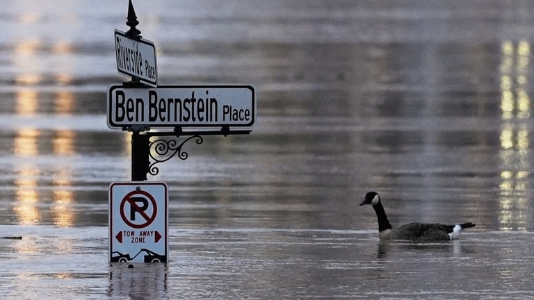 8. April: Beschilderung für die Gans! Am Ohio-River in Covington, Kentucky, spielen Straßenschilder aktuelle maximal für Kanada-Gänse und andere Wasservögel eine Rolle. Nach den heftigen Unwettern vom Sonntag, herrscht in mehreren US-Bundesstaaten weiter Land unter. Eine Wetterbesserung ist nicht in Sicht. (Foto: picture-alliance / Reportdienste, picture alliance/dpa/AP | Carolyn Kaster) 8. April: Beschilderung für die Gans! Am Ohio-River in Covington, Kentucky, spielen Straßenschilder aktuelle maximal für Kanada-Gänse und andere Wasservögel eine Rolle. Nach den heftigen Unwettern vom Sonntag, herrscht in mehreren US-Bundesstaaten weiter Land unter. Eine Wetterbesserung ist nicht in Sicht.