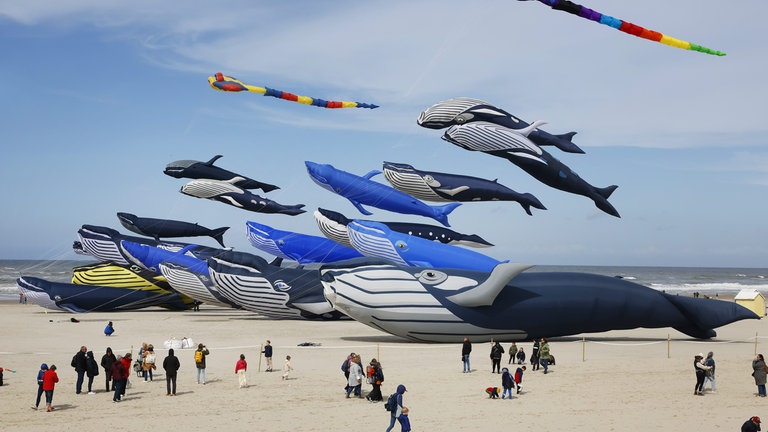 24. April: Das Internationale Drachenfestival fand vom 12. April bis zum 21. April 2025 in Berck-sur-Mer in Frankreich statt und brach Rekorde für die größte Anzahl von Walen, die durch die Luft gleiten. Seit über dreißig Jahren findet in dem Küstenort das Festival "Cerfs Volants" statt, das die Besucher an den Strand lockt. (Foto: picture-alliance / Reportdienste, dpa Bildfunk, MAXPPP | Marc Demeure) 24. April: Das Internationale Drachenfestival fand vom 12. April bis zum 21. April 2025 in Berck-sur-Mer in Frankreich statt und brach Rekorde für die größte Anzahl von Walen, die durch die Luft gleiten. Seit über dreißig Jahren findet in dem Küstenort das Festival "Cerfs Volants" statt, das die Besucher an den Strand lockt.