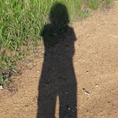 Schatten (Foto: privat)