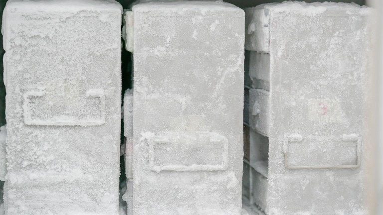 Labor-Gefrierschrank (Foto: IMAGO, Science Photo Library)