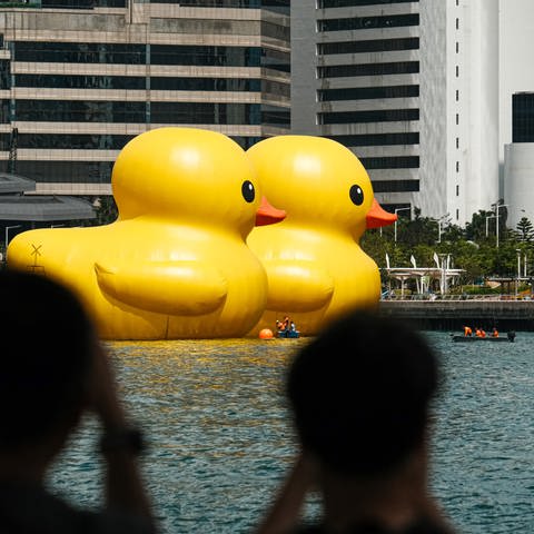 Double Ducks Ausstellung in Hongkong (Foto: picture-alliance / Reportdienste, ZUMAPRESS.com | Keith Tsuji)