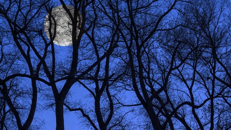 Vollmond im blauen Nachthimmel (Foto: IMAGO, IMAGO / imagebroker)