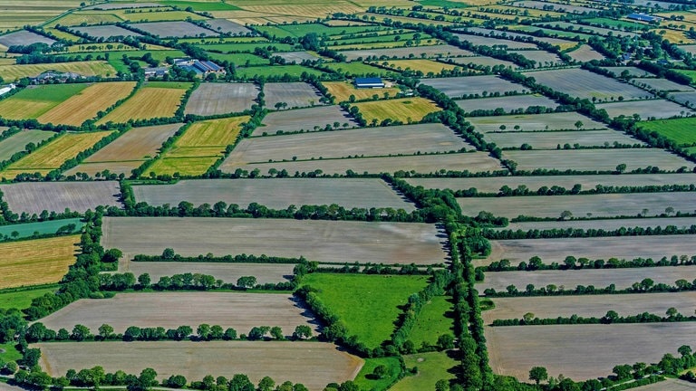 Heckenlandschaft auf der Husumer Geest (Foto: IMAGO, IMAGO / blickwinkel)