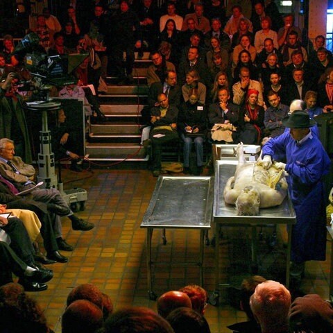 Der deutsche Anatomie-Professor Gunther von Hagens (2.v.r.) seziert am 20.11.2002 in einer Londoner Kunstgalerie den Leichnam eines 72 Jahre alten deutschen Mannes – die erste öffentliche Sektion in Großbritannien seit 170 Jahren. Britische Reporter nannten den Heidelberger Arzt einen "verrückten Dokto" und "Frankenstein-Künstler". Im Publikum saßen mehrere Polizisten und Mediziner. Sie sollen im Auftrag von Scotland Yard beurteilen, ob sich der Deutsche einer Straftat schuldig gemacht hat. (Foto: picture-alliance / Reportdienste, picture-alliance / dpa/dpaweb | epa afp)