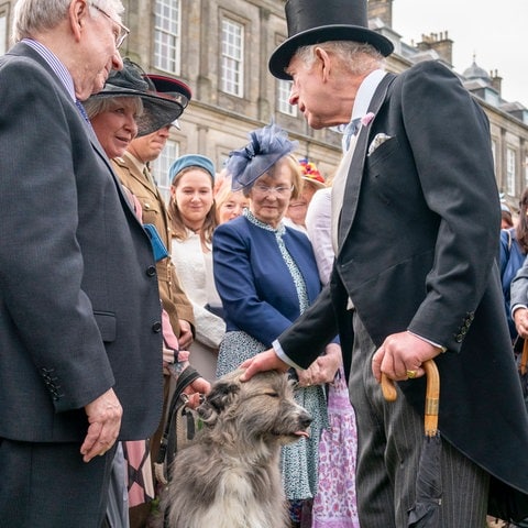 König Charles streichelt einen Hund auf einer Gartenparty in Schottland im Garten des Holyroodhouse. Er trägt einen schwarzen Frack und einen schwarzen Hut. (Foto: IMAGO, IMAGO / i Images) König Charles streichelt einen Hund auf einer Gartenparty in Schottland im Garten des Holyroodhouse. Er trägt einen schwarzen Frack und einen schwarzen Hut.
