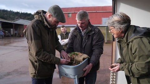 Der britische Prinz William wird bei einem Besuch der Lower Blakemere Farm, einer Duchy Focus Farm in Hereford, England, bei der Kompostierung von Würmern gezeigt. (Foto: picture-alliance / Reportdienste, picture alliance / ASSOCIATED PRESS | Jacob King) Der britische Prinz William wird bei einem Besuch der Lower Blakemere Farm, einer Duchy Focus Farm in Hereford, England, bei der Kompostierung von Würmern gezeigt.