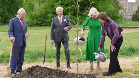 Königin Camilla von Großbritannien und Königin Silvia von Schweden gießen einen neu gepflanzen Baum. König Charles und König Carl Gustav schauen zu. (Foto: picture-alliance / Reportdienste, picture alliance / Photoshot | -) Königin Camilla von Großbritannien und Königin Silvia von Schweden gießen einen neu gepflanzen Baum. König Charles und König Carl Gustav schauen zu.