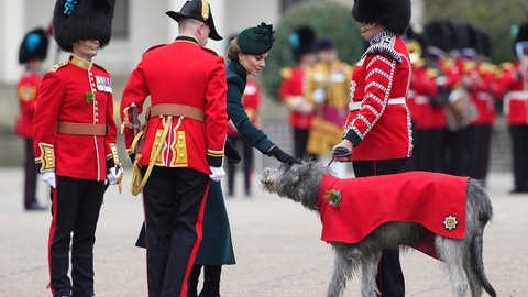Prinzessin Kate trägt einen grünen Mantel und eine grünen ut und streichelt einen irischen Wolfshund. Neben ihr stehen Gardisten der Irish Guards in roten Uniformen. (Foto: picture-alliance / Reportdienste, picture alliance/dpa/AP | Kirsty Wigglesworth) Prinzessin Kate trägt einen grünen Mantel und eine grünen ut und streichelt einen irischen Wolfshund. Neben ihr stehen Gardisten der Irish Guards in roten Uniformen.