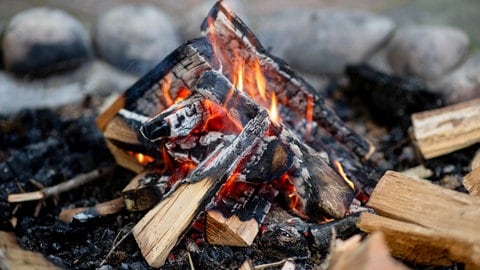 Ein Lagerfeuer brennt und es entsteht Holzasche. Holzasche kann im Garten eingesetzt werden. (Foto: picture-alliance / Reportdienste, picture alliance / Hauke-Christian Dittrich | Hauke-Christian Dittrich) Ein Lagerfeuer brennt und es entsteht Holzasche. Holzasche kann im Garten eingesetzt werden.