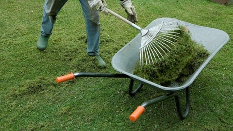 Garten mit Schubkarre, in der Rasenschnitt liegt (Foto: picture-alliance / Reportdienste, picture alliance / dpa Themendienst | Kai Remmers) Garten mit Schubkarre, in der Rasenschnitt liegt