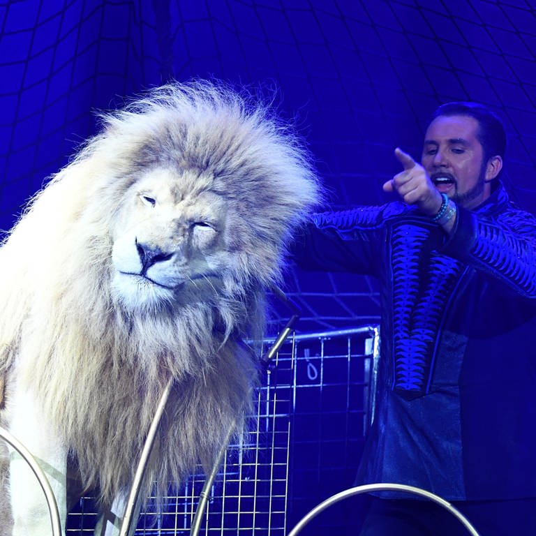 Martin Lacey jr. und ein weisser Löwe zeigen ihre Dressur bei der Pressevorstellung der Circus Krone Premiere "New Memories" im Münchner Kronebau.