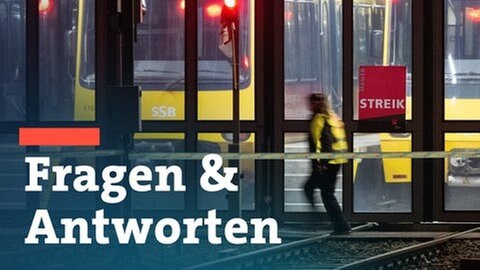 Bahnen der Stuttgarter Straßenbahn Betriebe im Depot.  (Foto: dpa Bildfunk, Marijan Murat/SWR-Bearbeitung)