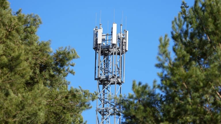 Ein Mast mit Mobilfunk-Antennen steht zwischen Kiefern. Baden-Württemberg will den Ausbau des Mobilfunknetzes beschleunigen und Funklöcher stopfen. 