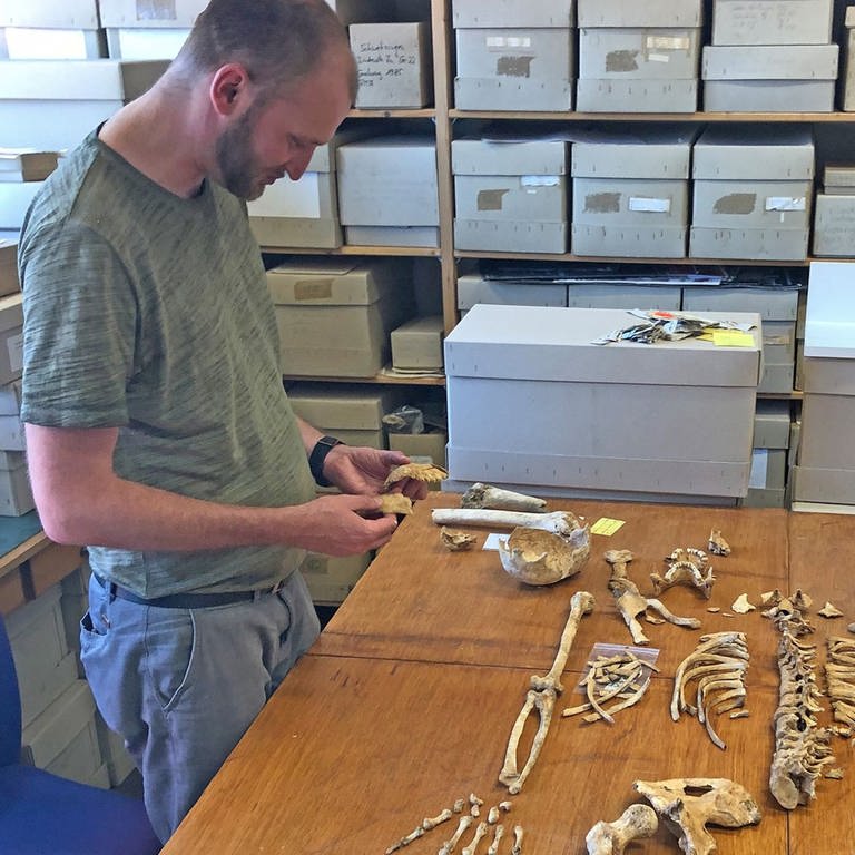 Richtstätte Allensbach: Der Anthropologe Michael Francken untersucht Skelettreste von Hingerichteten im Labor.  
