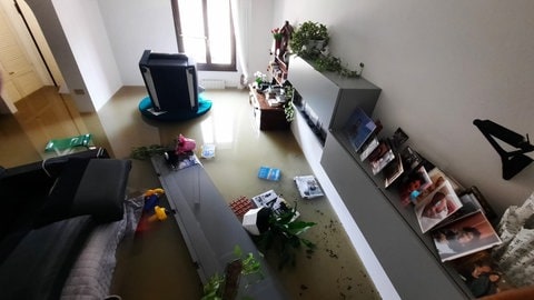 Flut Überschwemmung Norditalien (Foto: Enrico Suzzani) Flut Überschwemmung Norditalien