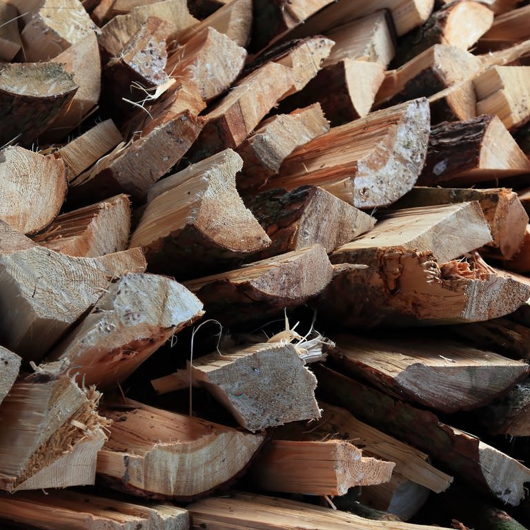 Brennholz liegt gestapelt auf einem Haufen