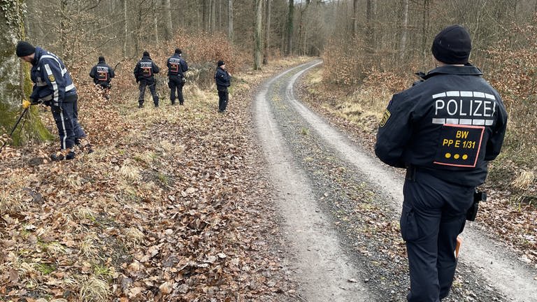 Tötungsdelikt Pfinztal bei Karlsruhe. Auf Spurensuche: Einsatzkräfte der Polizei durchkämpfen den Wald in Pfinztal.