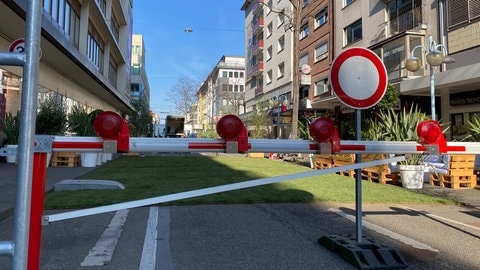 Verkehrsversuch Mannheim (Foto: SWR)