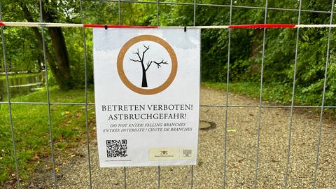 Schwetzinger Schlossgarten teilweise gesperrt wegen Astbruch-Gefahr. Die Bäume im Park leiden unter der Hitze und Trockenheit wegen des Klimawandels.